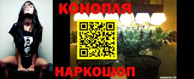 сатива Заволжье