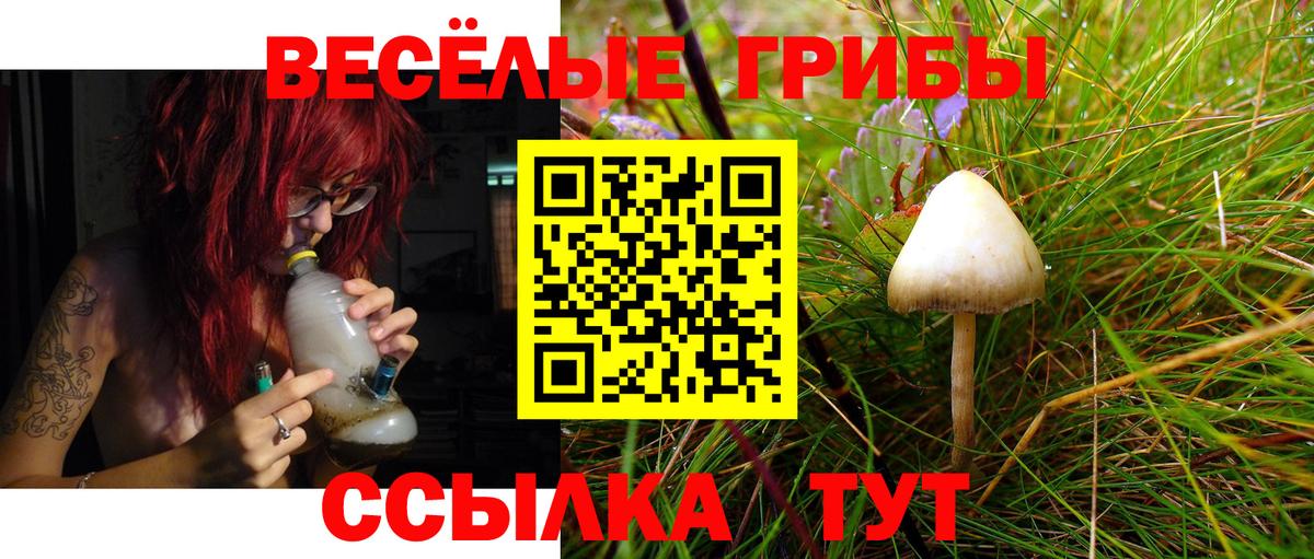 Псилоцибиновые грибы GOLDEN TEACHER Моздок